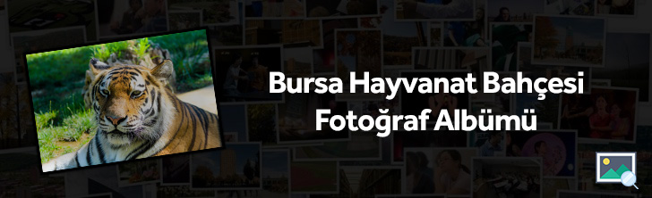 bursa-hayvanat-bahcesi-album
